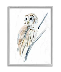 Stupell Industries Soft Arctic Owl Perched on Minimal Branch in Gray Frame Wall Art