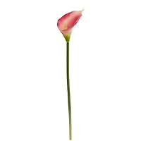 Pink Calla Lily Flower Stems, 12ct.