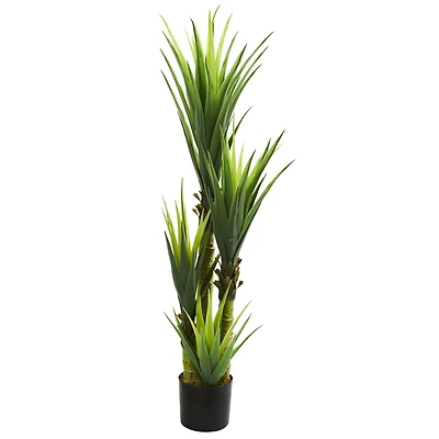4.5ft. Potted Dracaena Plant