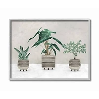 Stupell Industries Plants In Patterned Pots Neutral Grey Design in Gray Frame Wall Art