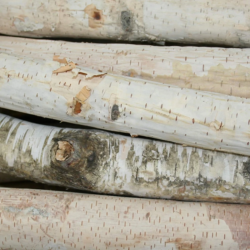 Wilson® Enterprises Birch Logs Set, 12ct.