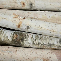 Wilson® Enterprises Birch Logs Set, 12ct.