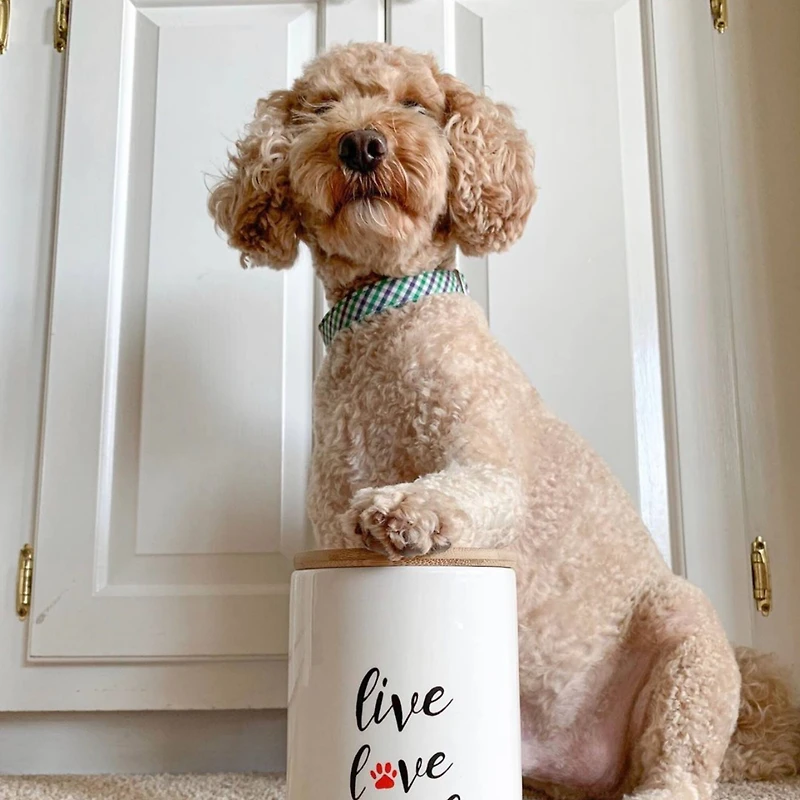 Park Life Designs Inscript 32oz. Treat Jar