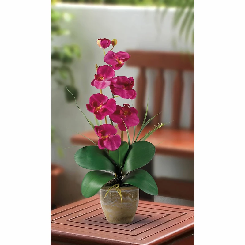 21" Moth Orchid Flower Arrangement in Ceramic Pot
