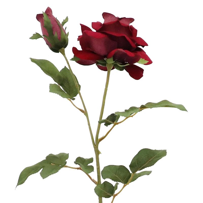 Burgundy Velvet Rose Stem by Ashland®