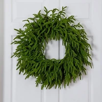 20in. Pre-Lit Artificial Real Touch Norfolk Island Pine Wreath with 35 Warm White LED Lights and Natural Look