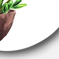 Designart - Zamioculcas Tropical Plant With Green Leaves