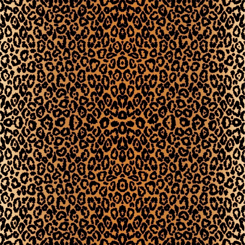 6 Packs: 2 ct. (12 total) Cricut® Infusible Ink™ Transfer Sheets, Leopard