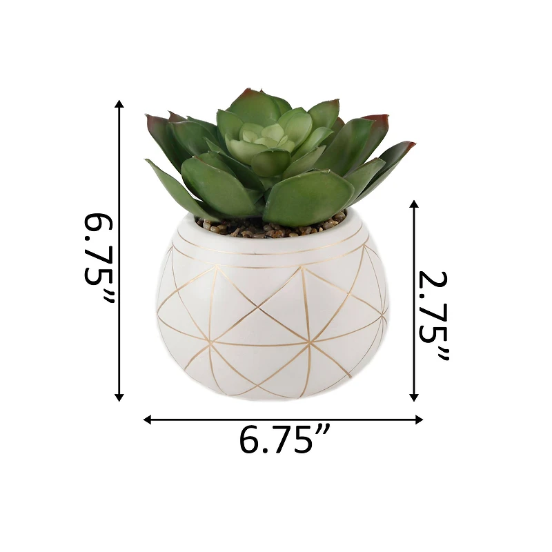 Flora Bunda® 6.5" Succulent In Gold Geo Hand Painted Ceramic Planter