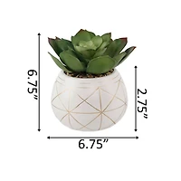 Flora Bunda® 6.5" Succulent In Gold Geo Hand Painted Ceramic Planter