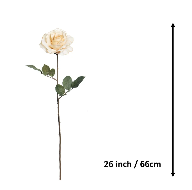 26" Rose Stem by Ashland