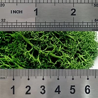 JTT Scenery Products Green Landscape Lichen