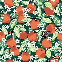 NuWallpaper PrintFresh Juniper Orange Grove Peel & Stick Wallpaper