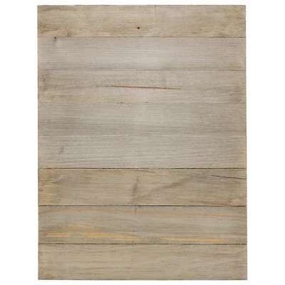 Hampton Art™ 12" x 16" Rustic Wood Panel