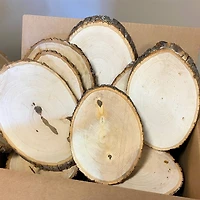 Wilson® Enterprises 10 Pack X-Large Basswood Plaque