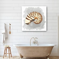 Shells On Grey III Canvas Giclee
