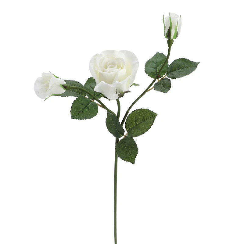 6 Pack: White Rose Spray by Ashland®