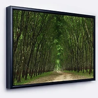Designart - Pathway in Thick Green Forest