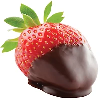 ChocoMaker® Simply Melt™ Dark Chocolate Candy Melts