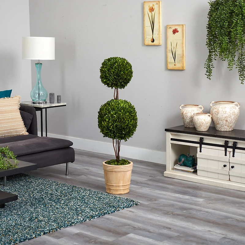 4ft. Boxwood Double Ball Topiary Tree in Planter
