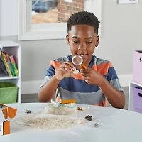 hand2mind® Dig & Display Fossil Kit