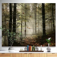 Designart - Light in Dense Fall Forest with Fog