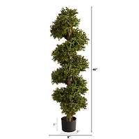 4ft. Potted Spiral Boxwood Topiary Tree