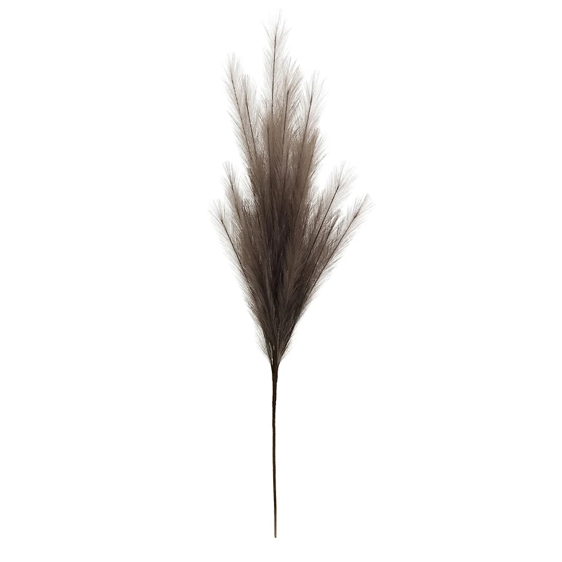 42" Light Brown Pampas Grass Stem by Ashland®