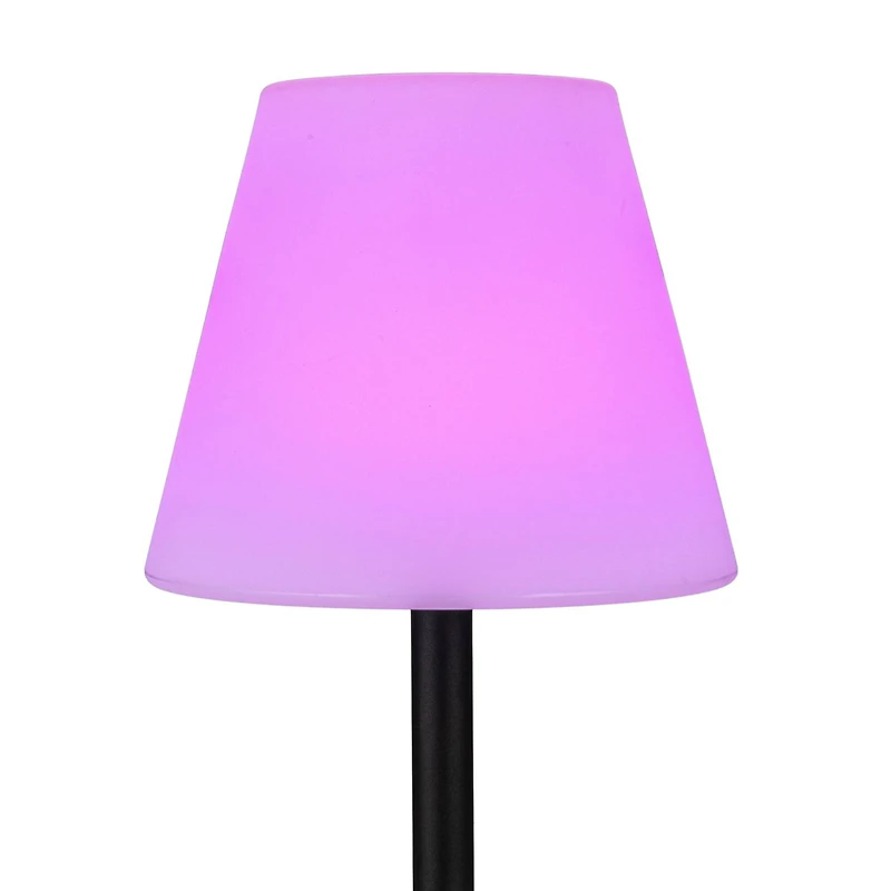 Hello Honey® 57.75" Black Touch Sensor Metal Solar Floor Lamp