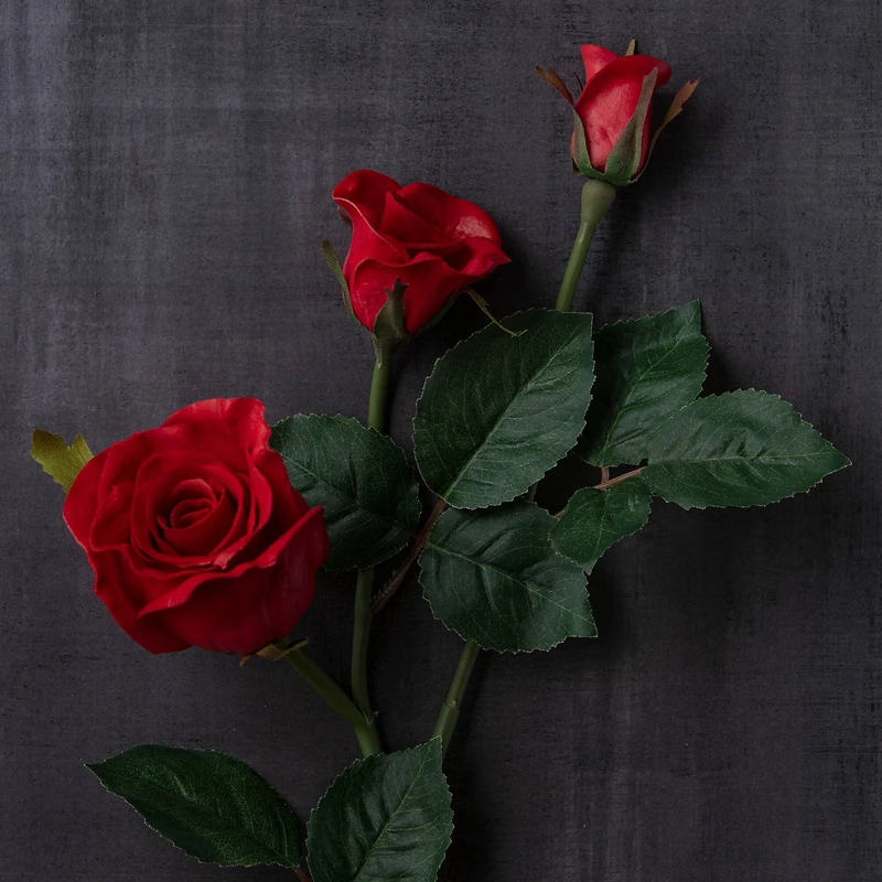 6 Pack: Red Rose Spray by Ashland®