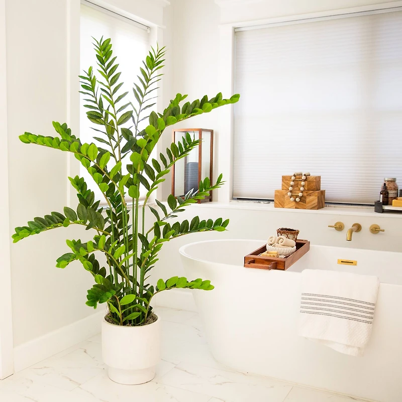 5ft. Artificial Zamioculcas Plant