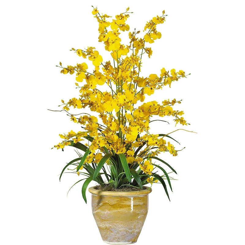 2.5ft. Yellow Triple Dancing Lady Orchid Arrangement in Planter