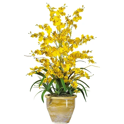 2.5ft. Yellow Triple Dancing Lady Orchid Arrangement in Planter