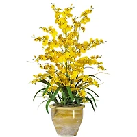 2.5ft. Yellow Triple Dancing Lady Orchid Arrangement in Planter