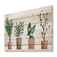 Designart - Duo of Potted Flowers House Plants - Farmhouse Print on Natural Pine Wood