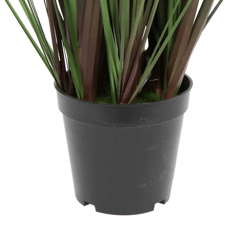 Potted Green Straight Grass & Cattails