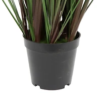 Potted Green Straight Grass & Cattails