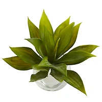 5.75" Mini Agave Succulent in Glass Vase, 3ct.