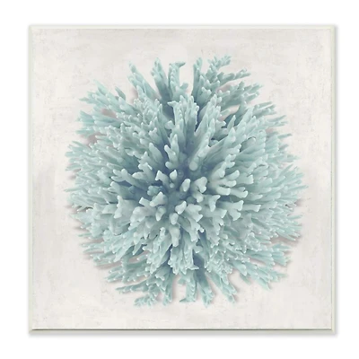 Stupell Industries Coral Ball Blue Sea Beach Design Wood Wall Plaque