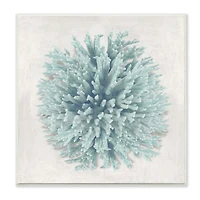 Stupell Industries Coral Ball Blue Sea Beach Design Wood Wall Plaque