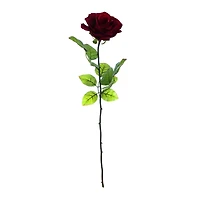 Burgundy Holland Rose Stem by Ashland®