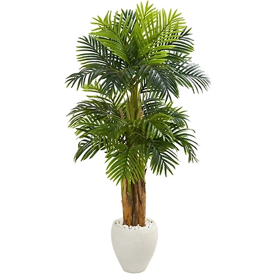 5.5ft. Triple Areca Palm Tree in White Planter
