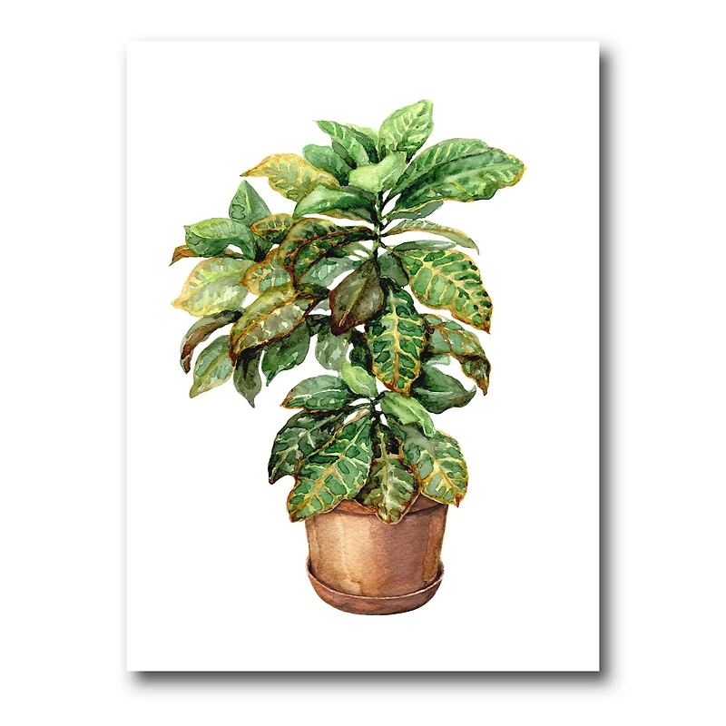 Designart - Croton In Clay Flowerpot
