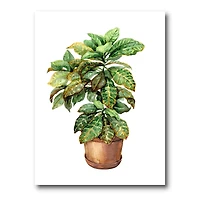 Designart - Croton In Clay Flowerpot