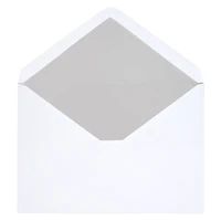 5.25" x 7.25" Silver Foil Lined Envelopes by Recollections™, 10ct.