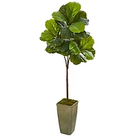 5.5ft. Fiddle Leaf Artificial Tree in Planter