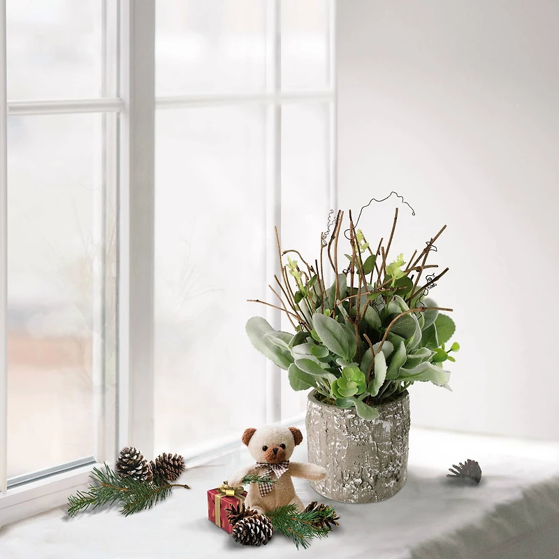 11" Lamb's Ear in Cement Pot