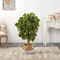 4ft. Schefflera Artificial Tree in Boho Chic Handmade Cotton & Jute Woven Planter (Real Touch