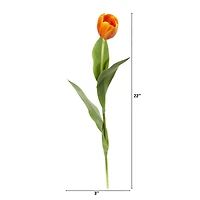 Orange Tulip Stem, 8ct.