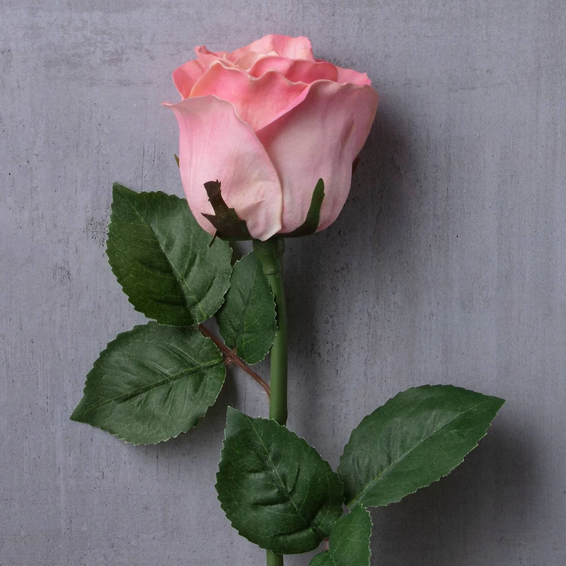 12 Pack: Light Pink Faux Rose by Ashland®